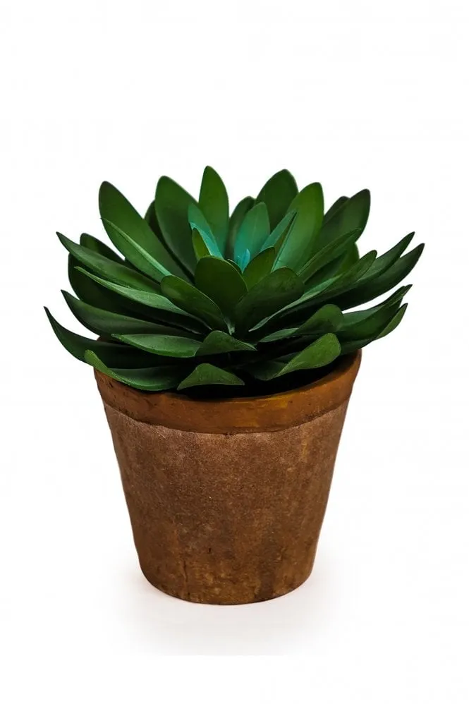 Artificial Succulent