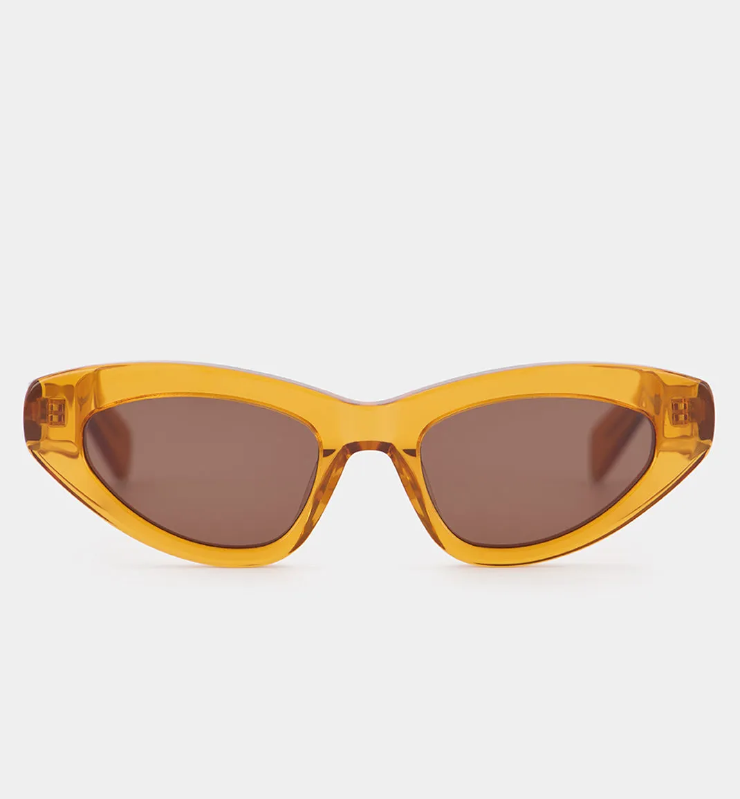 Burnt Orange Sunglasses with Smokey Brown Lens