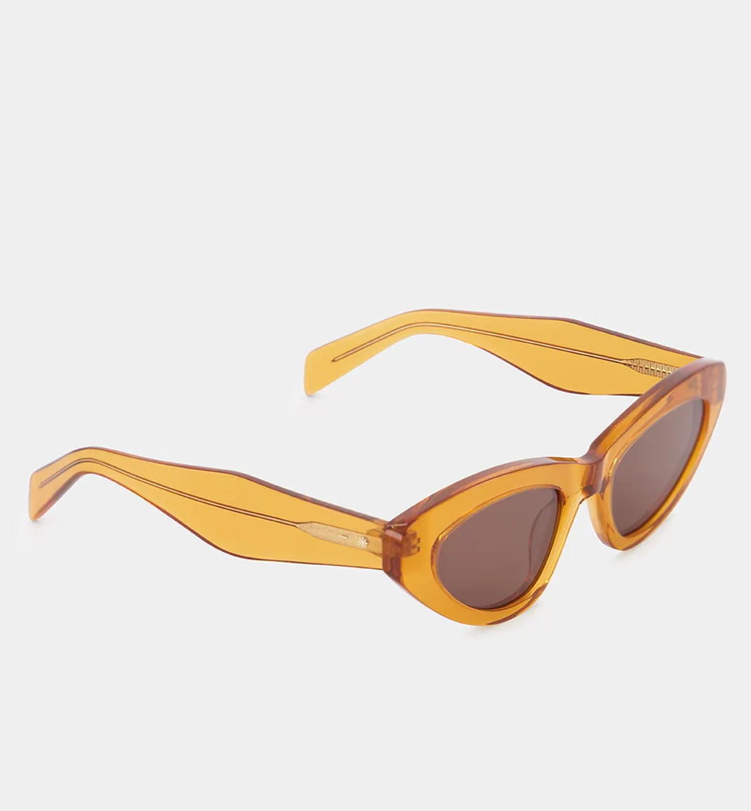 Burnt Orange Sunglasses with Smokey Brown Lens