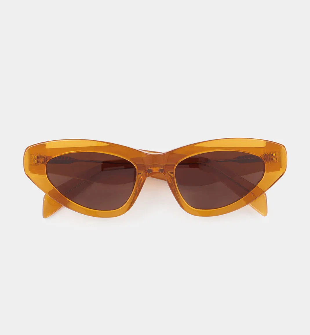 Burnt Orange Sunglasses with Smokey Brown Lens