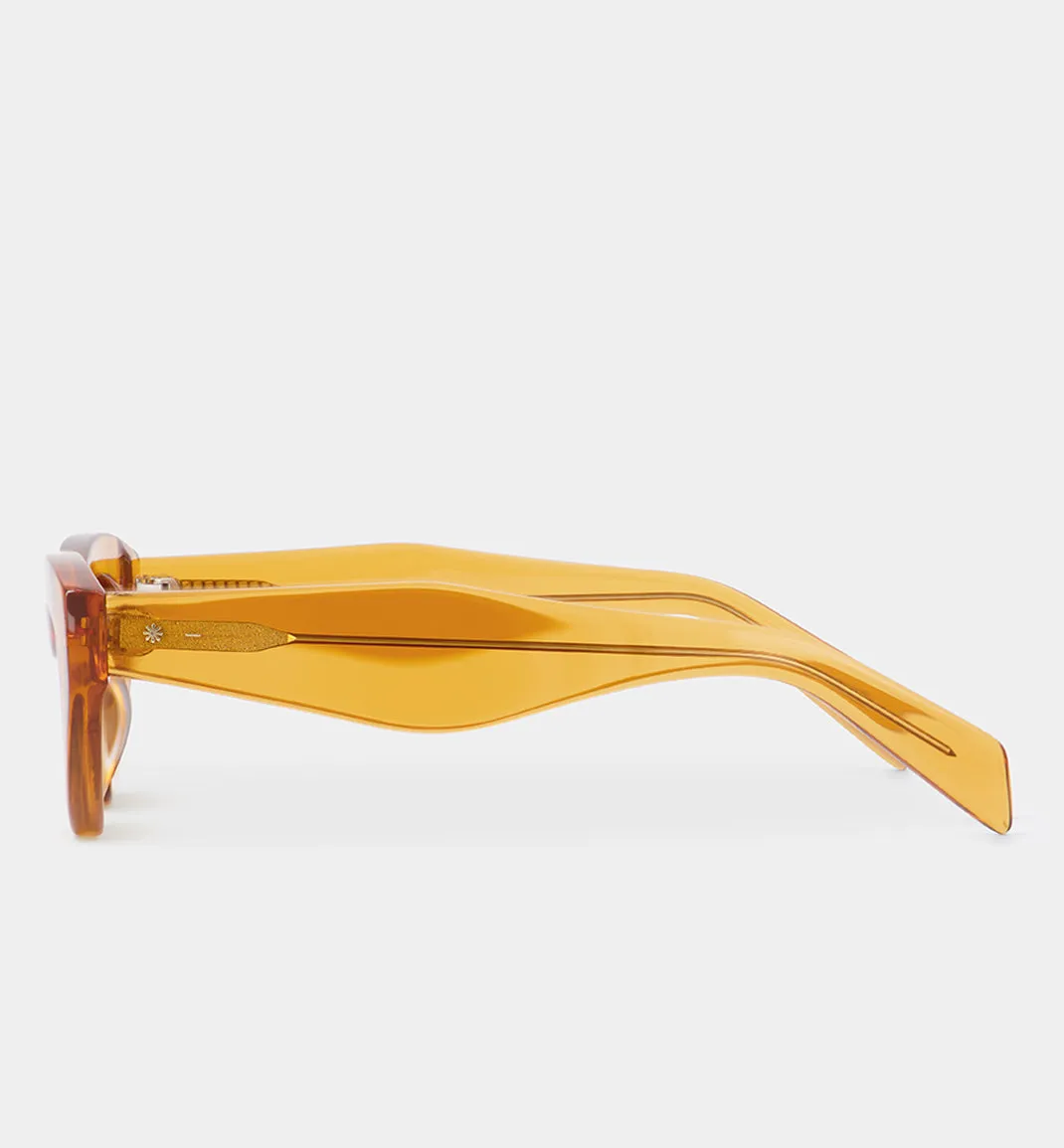 Burnt Orange Sunglasses with Smokey Brown Lens